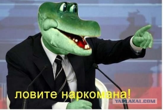 1196518.jpg