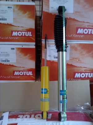 bilstein_ammo.jpg