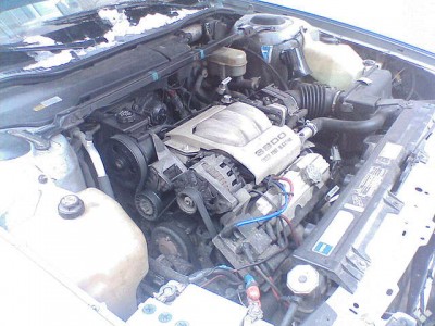 7445974f.jpg