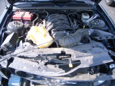 17004609_7X.jpg