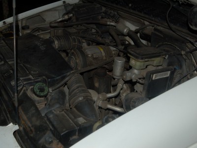 DSC_3974_hf.jpg