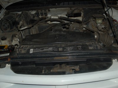 DSC_3979_hf.jpg