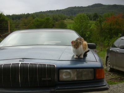 DSCN3736.JPG