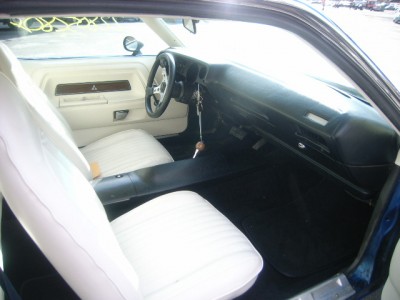 22805280_5X.JPG