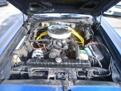 22805280_7X.JPG