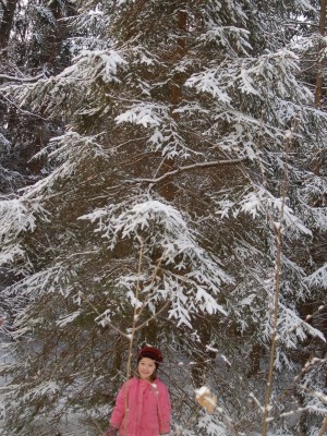 DSC_8617_hf.jpg