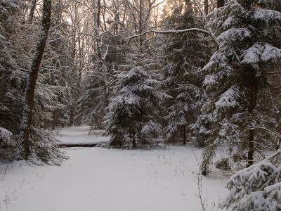 DSC_8622_hf.jpg