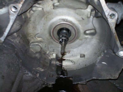 PICT0306.JPG