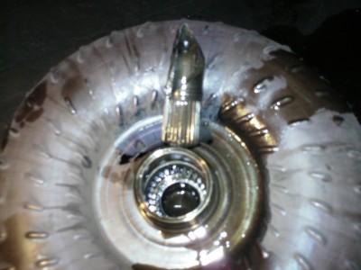 PICT0310.JPG