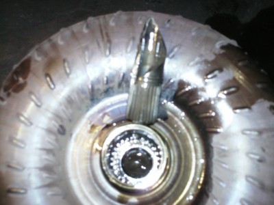 PICT0311.JPG
