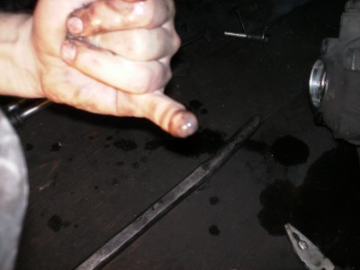 PICT0312.JPG
