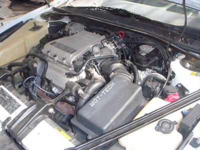 88cd742bdf2e768a-large.jpg