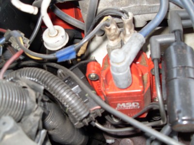 SDC11742.JPG
