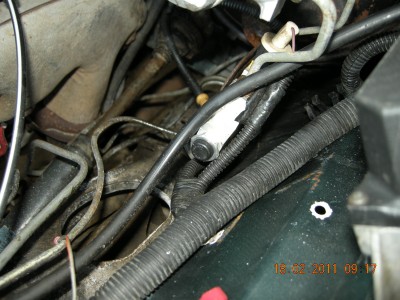 DSCN3485.jpg