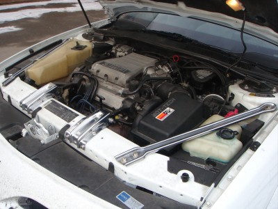 88cd9e6948494a1f-large.jpg