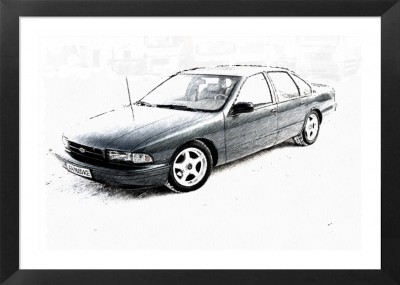 FotoSketcher - dsc0086s_hf.jpg