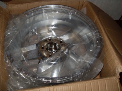 SDC12264.JPG