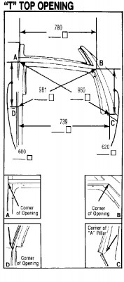 t-top opening.JPG