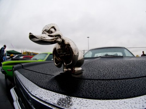 88cbb7240829f8a4-main.jpg