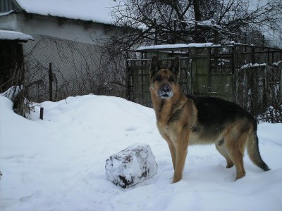PICT0041-1.JPG