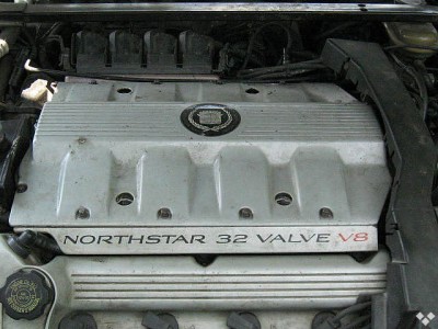 5595244f.jpg