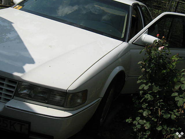 5595240f.jpg