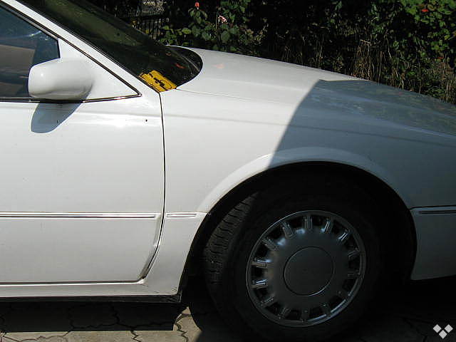 5595235f.jpg