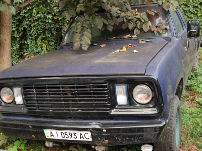 DSC_5362_hf.jpg