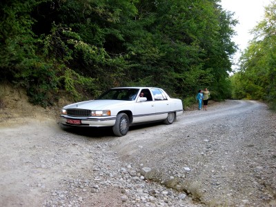 IMG_8914.jpg