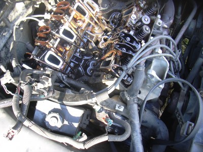 DSCN0202.JPG