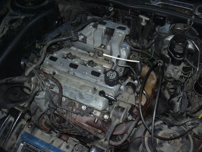 DSCN0203.JPG