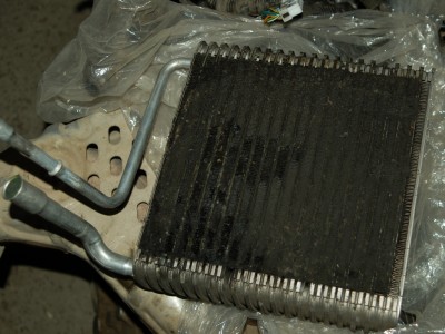 DSC_5704_hf.jpg