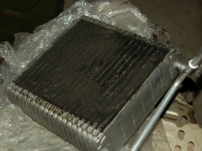 DSC_5702_hf.jpg